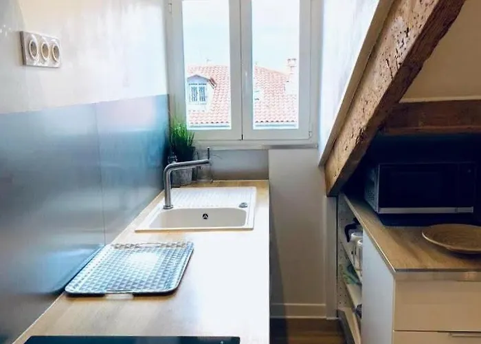 Lägenhet Guisol 17 Attic Cocon Port De Nice